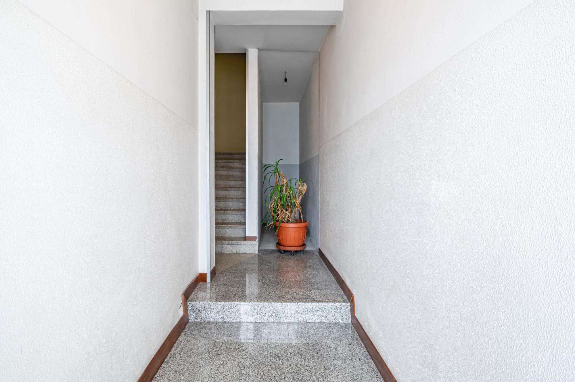 San Vincenzo Apartments 1 - 2 - 4 ヴィゴンツァ エクステリア 写真